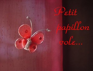 Petit_papillon_vole