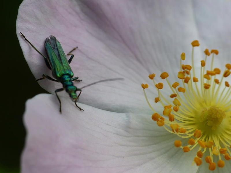 P1240935