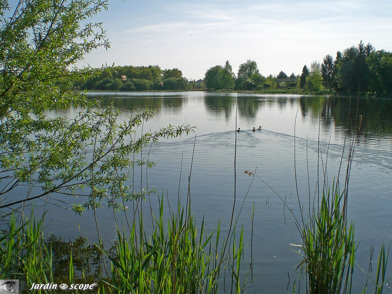 Etang_en_Sologne