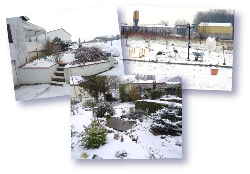 le jardin ss la neige 7 mars 2016