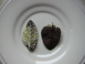 feuilles_menthe002