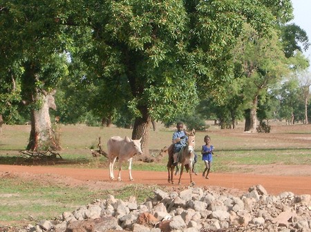 Burkina_juin_juillet_2007_143