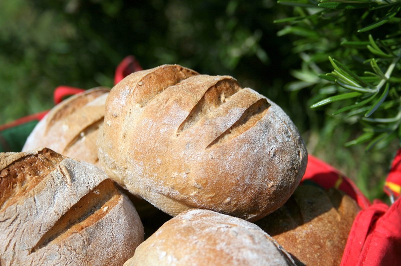 Petits Pains Ovales aux céréales