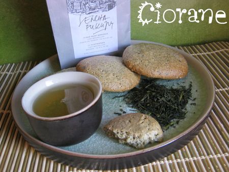 biscuit-the-sencha-fukuyu