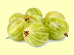 Groseilles 2