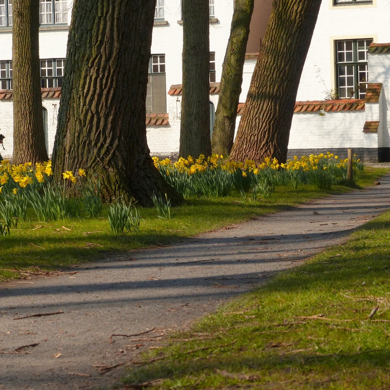 a bruges beguinage mars2016-001