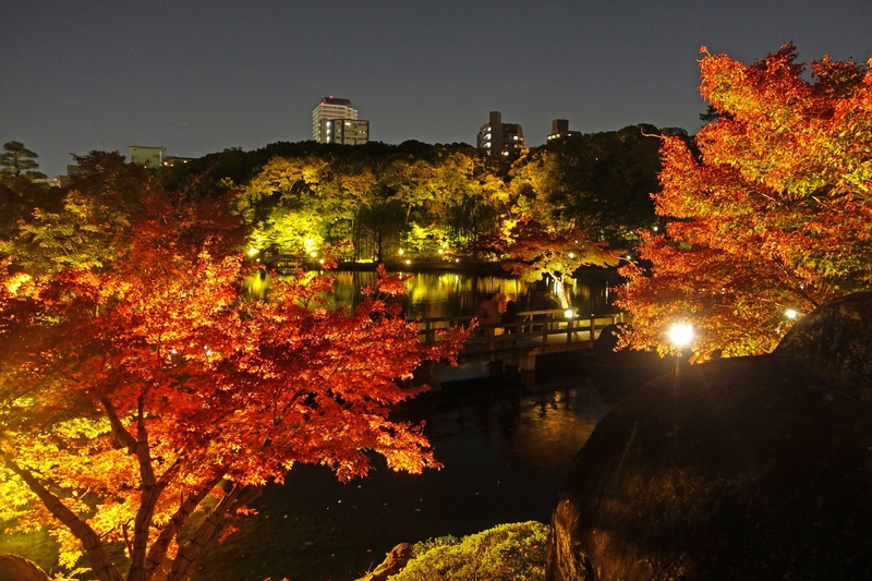 Tokugawa-en 5