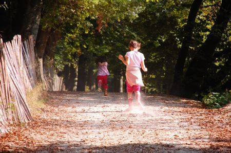 foret_04