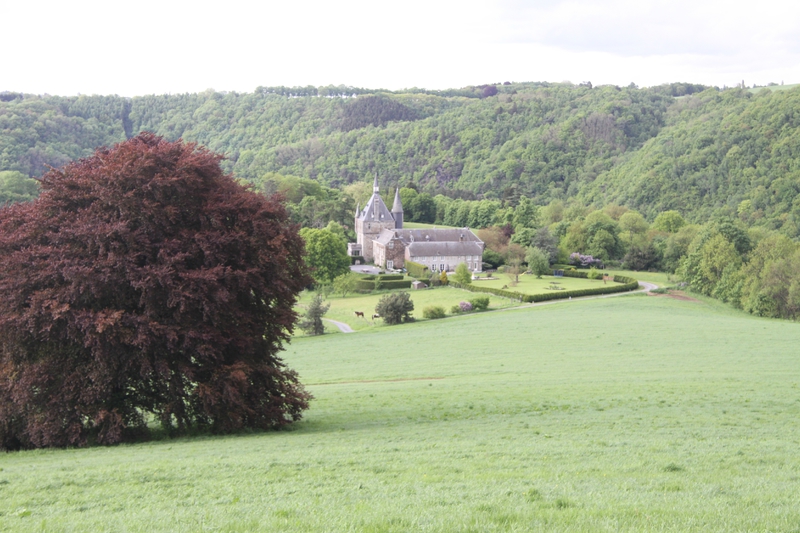 01 - 3 hêtres dessus château Trumly