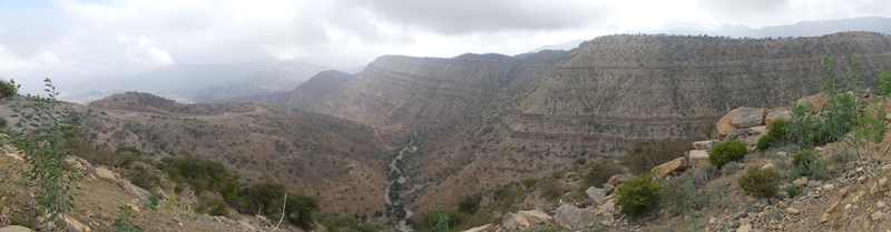 P1050064