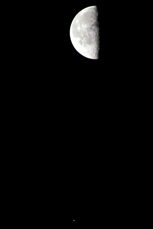 IMG_0009