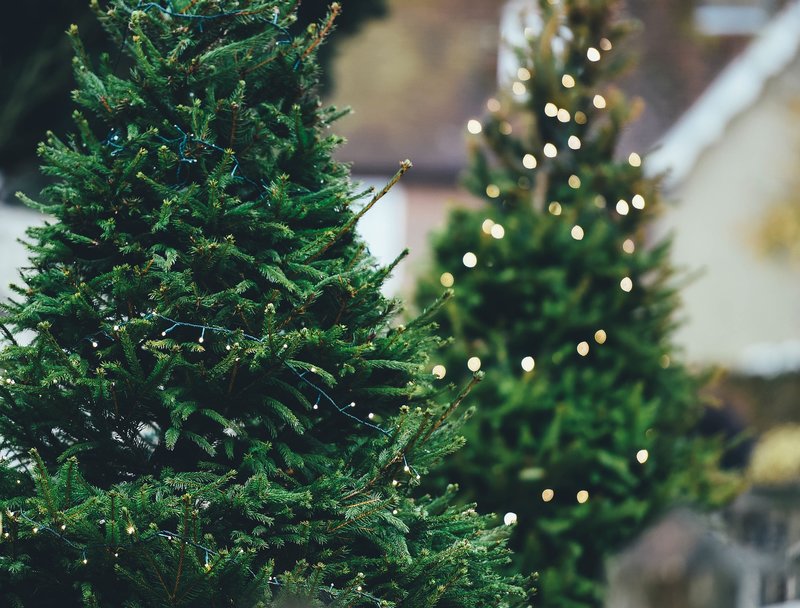 christmas_tree_gaaff4bfad_1920