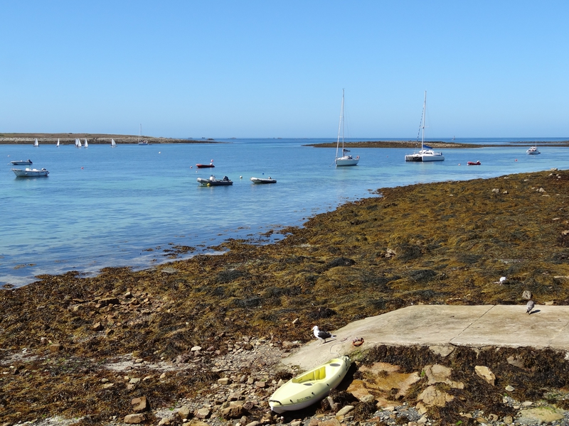 Archipel des Glénan : île Saint-Nicolas