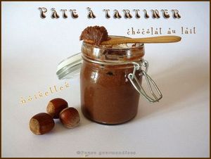 p_te___tartiner_chocolat_lait_et_noisettes