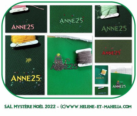 anne25_salnoel22_col3