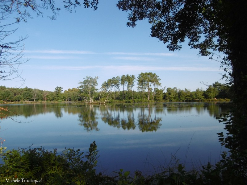 Etang de la Glacière 020918