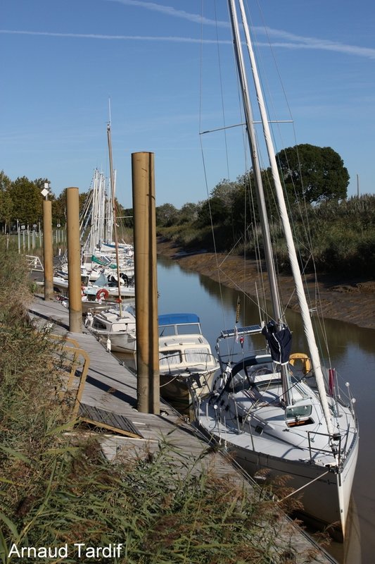 00511 Estuaire de la Gironde - Rive Droite - Pôle-Nature de Vitrezay - Le Port de Plaisance