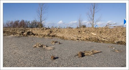 Aiguillon_inondation_chemin_bordure__280210