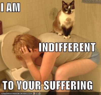 cat_on_vomiting_person