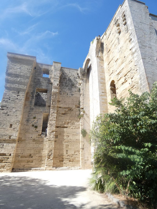 villeneuve-les-maguelone_25-07-2020(17)