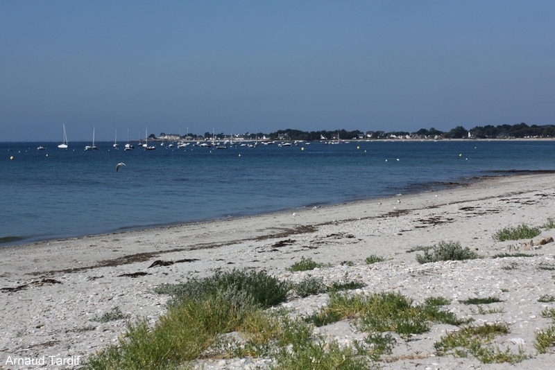 00387 Bretagne Sarzeau - La Presqu'Ile de Rhuys - La Plage du Roaliguen et vu sur la Pointe et la Plage Saint-Jacques