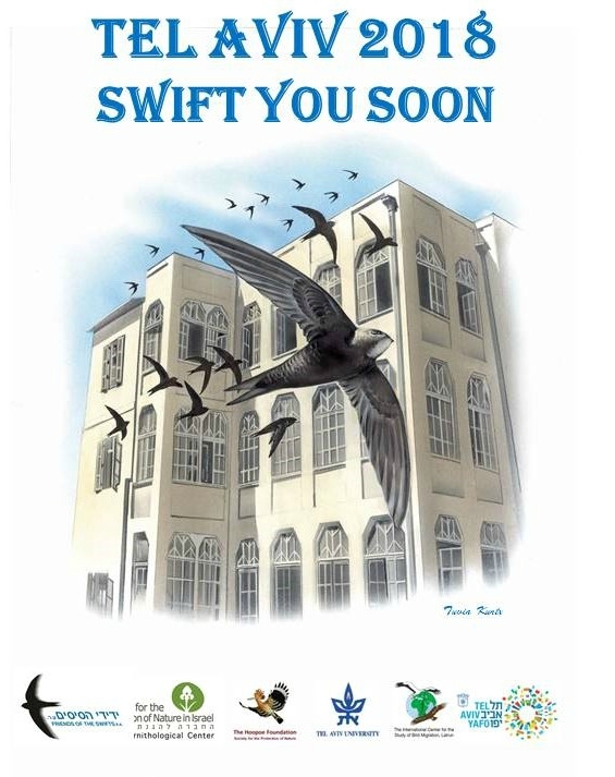 TEL AVIV 2018 - SWIFT YOU SOON