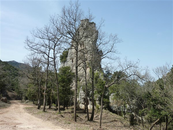 P1030676