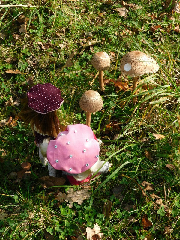 DSCN8384