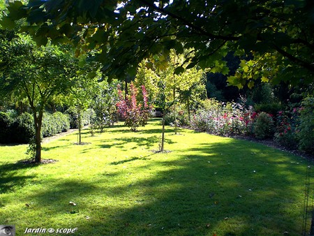 7447_Nouveau_jardin