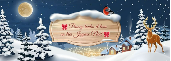 Capture d'écran 2023-12-03 174238