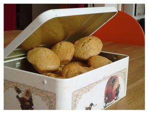 Madeleines aux noisettes recettes Madeleines aux noisettes