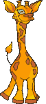 girafe6