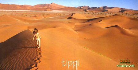 TIPPI dans le désert de Namibie