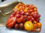 3-tomates (5)
