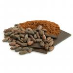 cacao-cru-bio-en-poudre-100g