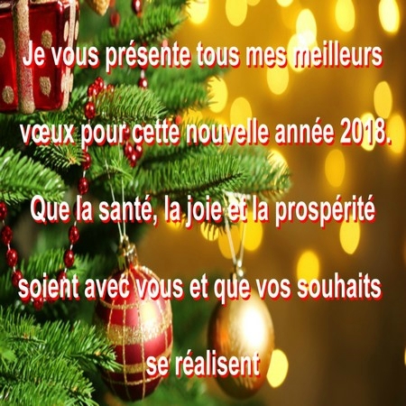 meilleurs voeux