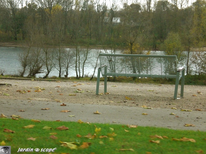 Banc disign en bord de Loire aux couleurs d'automne