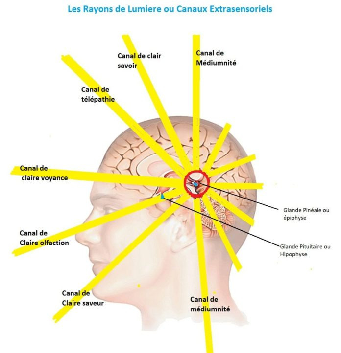 Canaux-extrasensoriels