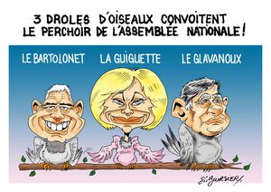 3 drles d'oiseaux web