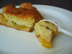 Gateau_Extra_Moelleux_Prune__2_