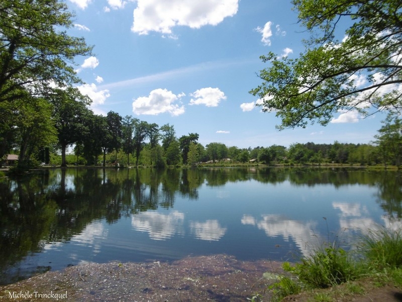 1-Etang de la Glacière 140517