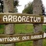 ARBORIA