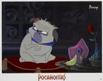 pocahontas_photo_d_exploitation_us_03