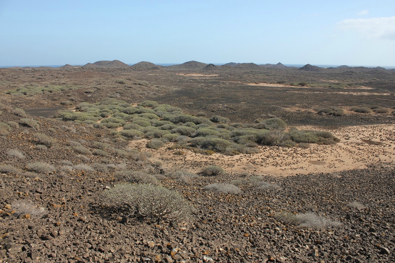 IMG_7933 [FUERTEVENTURA]