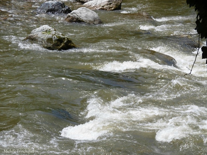 1-Lac de Soues et Adour 310517