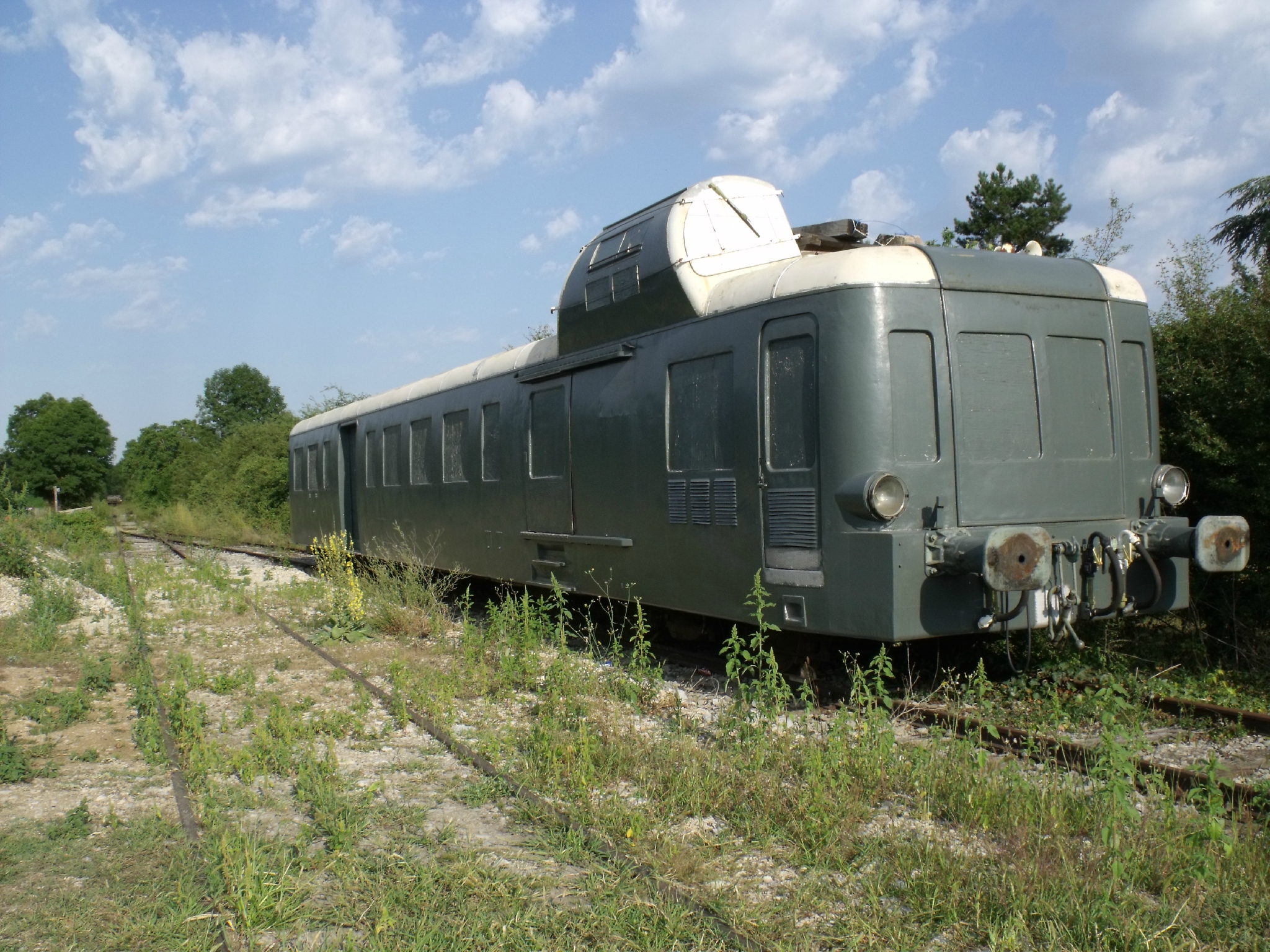 Martel (Lot - 46)