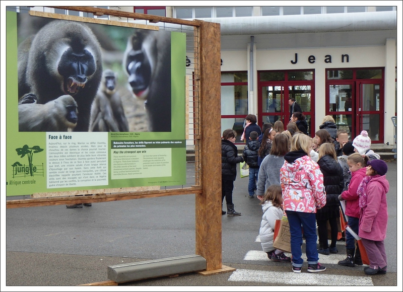 Montier enfants ecole rang singes face a face