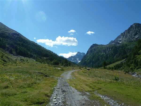 P1030933