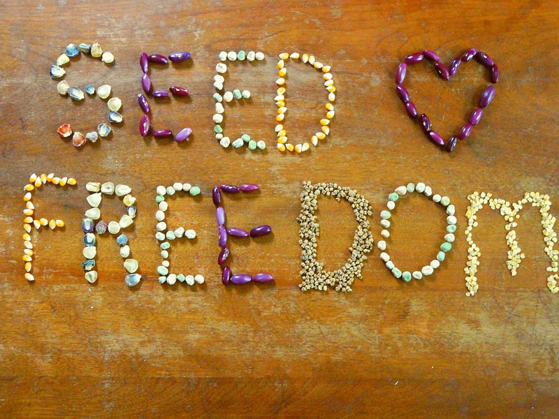 seedfreedom