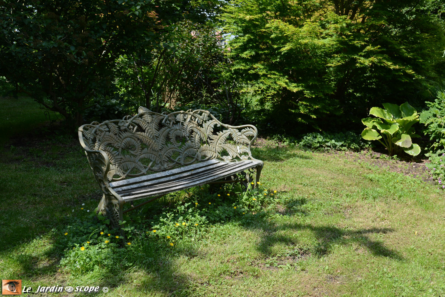 Banc en fonte motif fougères - Notre-Dame-de-l'Eau (28)